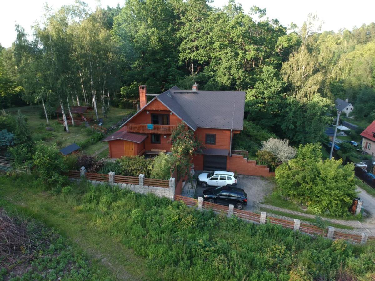 Chata Gorska Sowa Dla 12 Osob, 4 Sypialnie,Salon Z Kominkiem Villa Podgórzyn Eksteriør bilde