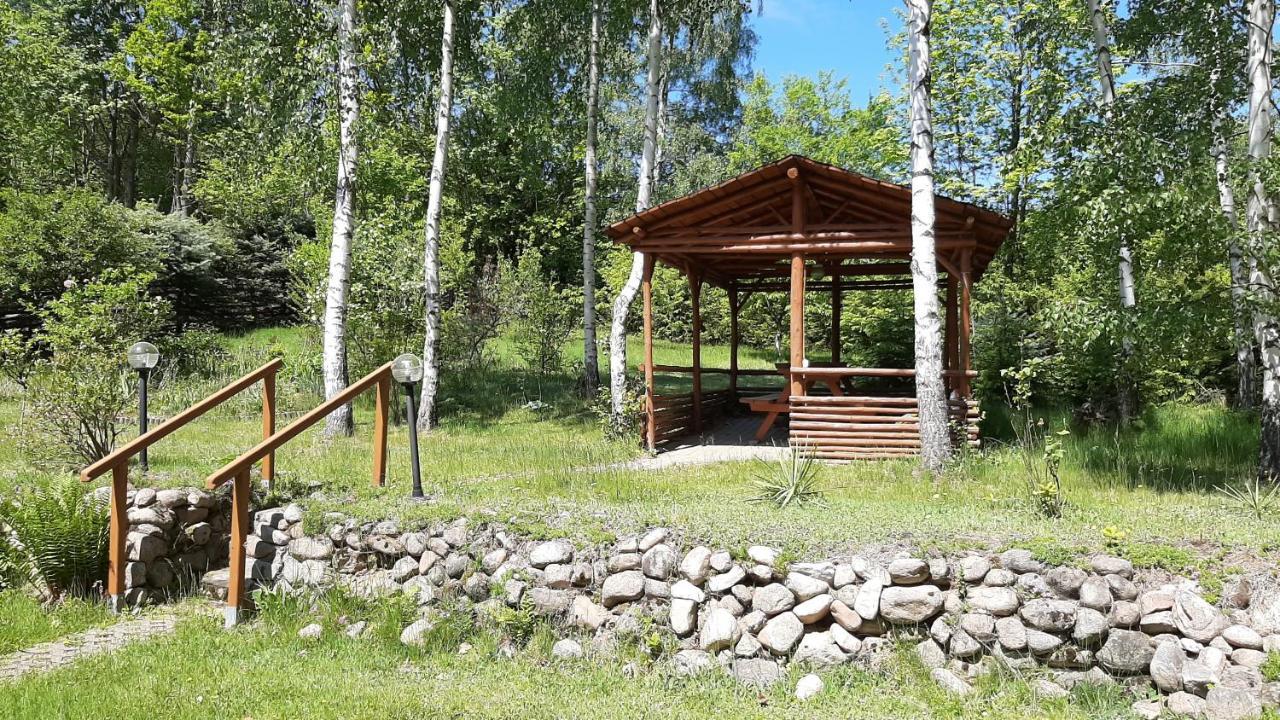 Chata Gorska Sowa Dla 12 Osob, 4 Sypialnie,Salon Z Kominkiem Villa Podgórzyn Eksteriør bilde
