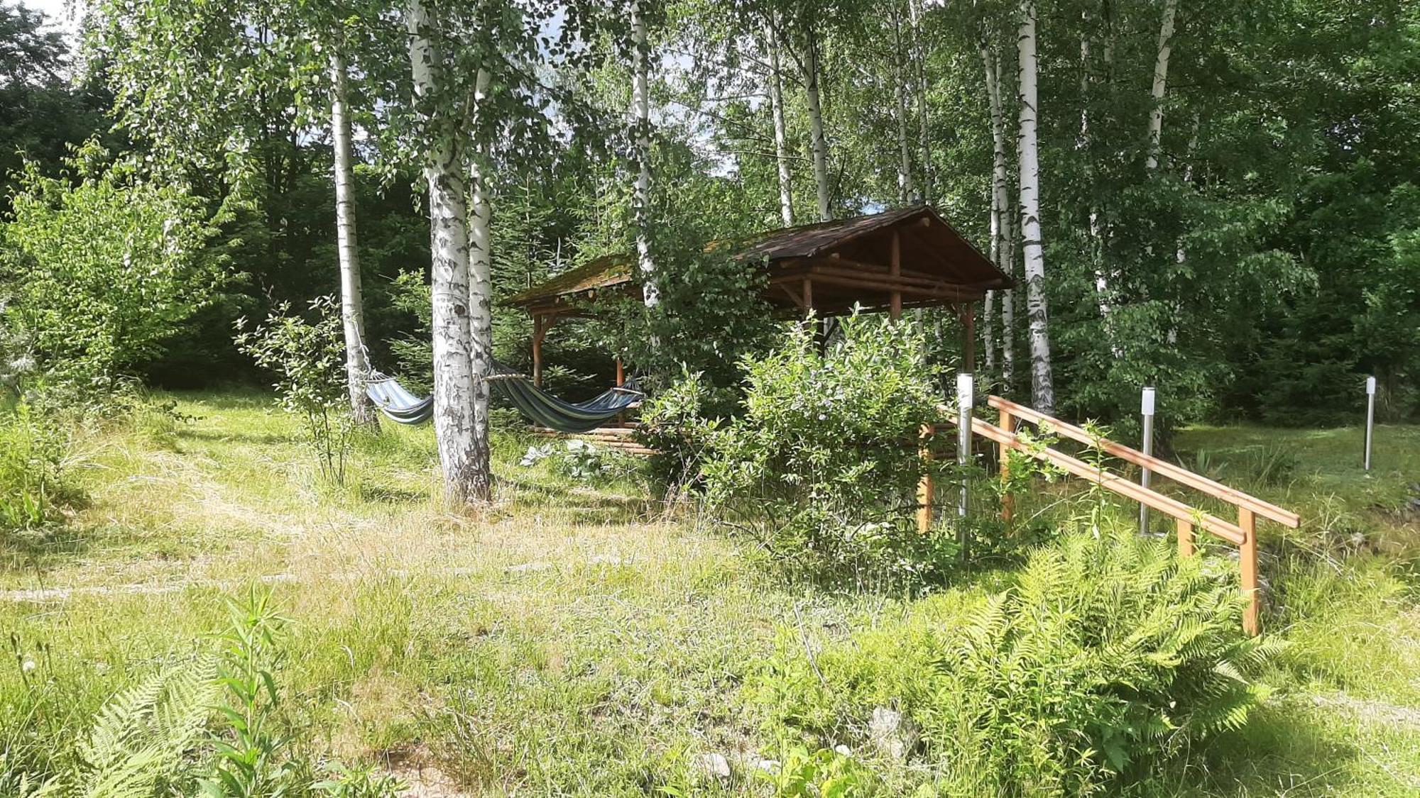 Chata Gorska Sowa Dla 12 Osob, 4 Sypialnie,Salon Z Kominkiem Villa Podgórzyn Eksteriør bilde